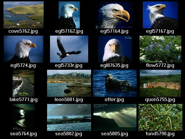 Clickable Image